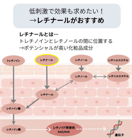 HAL SKIN Lipo-A Serumの画像2